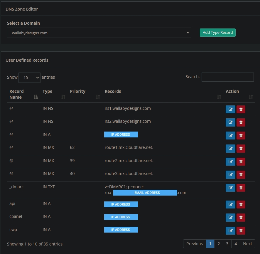 basic view of a DNS zone editor